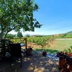 Panoramahaz Lovason Lovas
