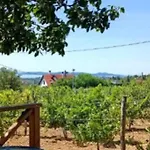 Panoramahaz Lovason *