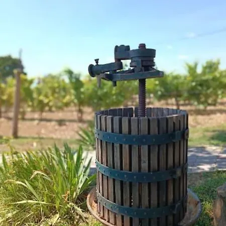 Panoramahaz Lovason Lejlighed Lovas