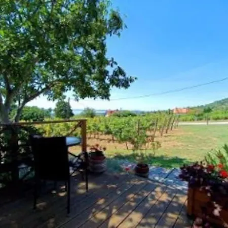 Panoramahaz Lovason Lovas