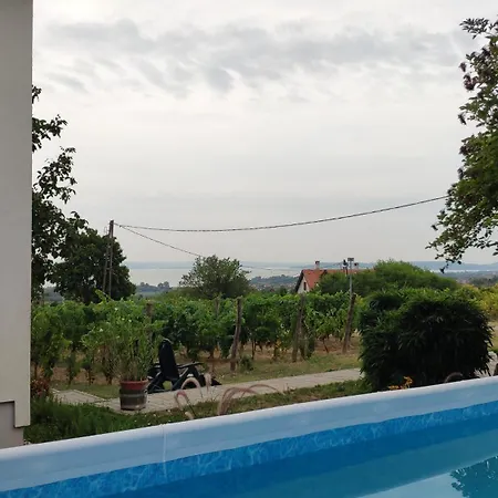 Panoramahaz Lovason *