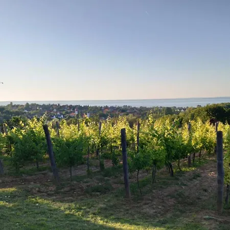 Panoramahaz Lovason Lejlighed