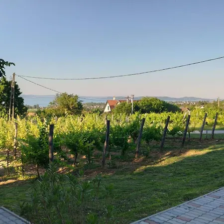 Appartement Panoramahaz Lovason *