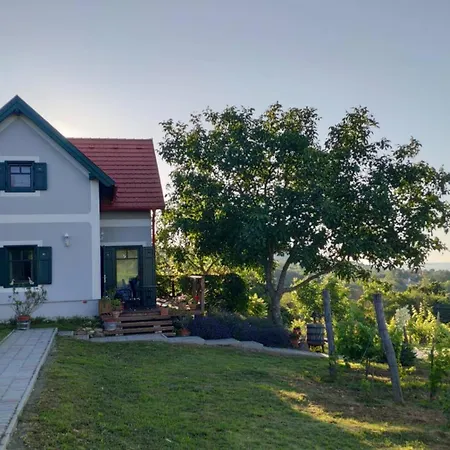 Panorámaház Lovason Apartman *