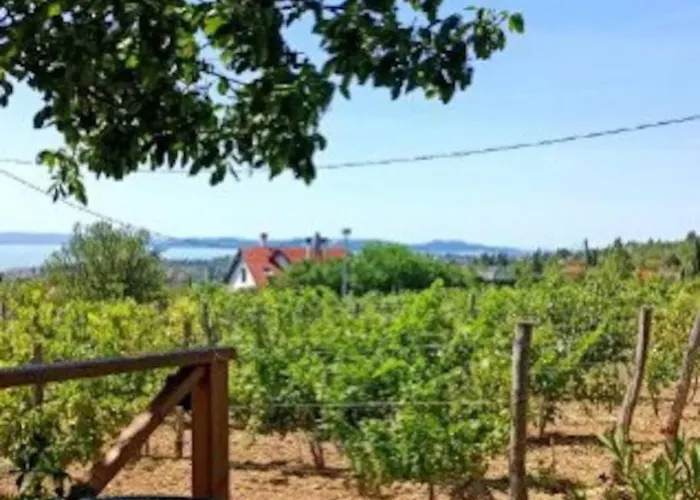 Panorámaház Lovason *