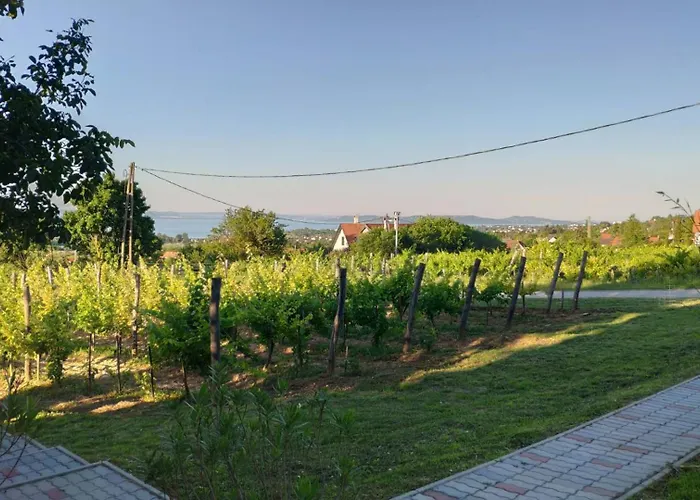 Apartman Panorámaház Lovason *
