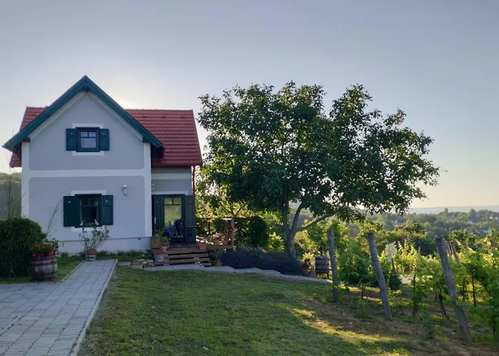 Panorámaház Lovason Apartman *